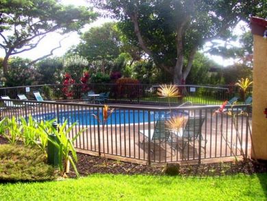 Maui Vacation Condo Value Priced Great Ammenities